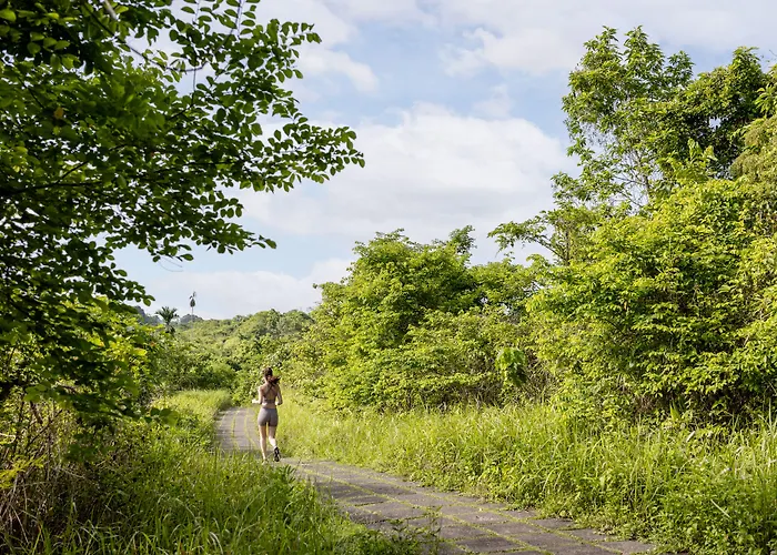 The Hava A Pramana Experience Ubud